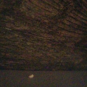 Meet your Posher, Brittney